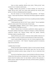 Verslo planas: UAB "Matuizų plytinė" 7 puslapis