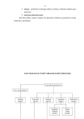Verslo planas: UAB "Matuizų plytinė" 9 puslapis