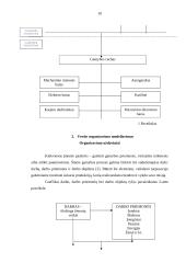 Verslo planas: UAB "Matuizų plytinė" 10 puslapis