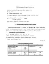 Verslo planas: vandens slidžių nuoma 16 puslapis