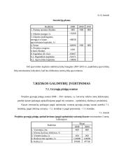 Verslo planas: vandens slidžių nuoma 17 puslapis
