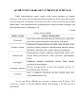 Verslo planas: vandens slidžių nuoma 5 puslapis
