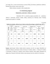 Verslo planas: vandens slidžių nuoma 8 puslapis