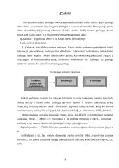 Verslo planas: vandens slidžių nuoma UAB "Galantas" 2 puslapis