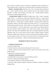 Verslo planas: vandens slidžių nuoma UAB "Galantas" 12 puslapis