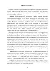 Verslo planas: vandens slidžių nuoma UAB "Galantas" 13 puslapis