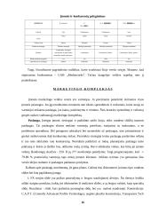 Verslo planas: vandens slidžių nuoma UAB "Galantas" 15 puslapis