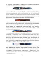 Verslo planas: vandens slidžių nuoma UAB "Galantas" 16 puslapis