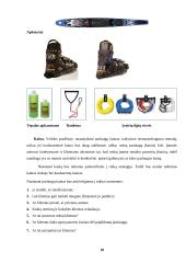 Verslo planas: vandens slidžių nuoma UAB "Galantas" 17 puslapis