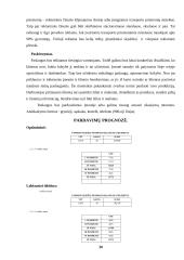 Verslo planas: vandens slidžių nuoma UAB "Galantas" 19 puslapis