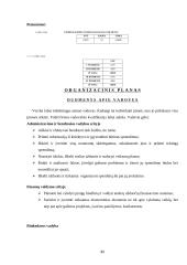 Verslo planas: vandens slidžių nuoma UAB "Galantas" 20 puslapis