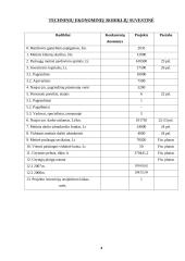 Verslo planas: vandens slidžių nuoma UAB "Galantas" 3 puslapis