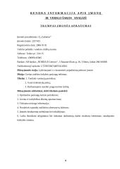 Verslo planas: vandens slidžių nuoma UAB "Galantas" 5 puslapis