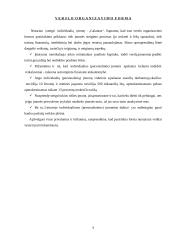 Verslo planas: vandens slidžių nuoma UAB "Galantas" 6 puslapis