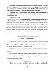 Verslo planas: vandens slidžių nuoma UAB "Galantas" 9 puslapis