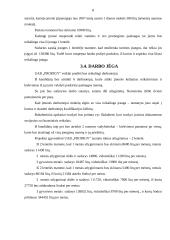 Verslo planas: vandens sporto ir turizmas UAB "Prodigy" 8 puslapis
