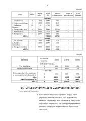 Verslo planas: vandens sporto ir turizmas UAB "Prodigy" 9 puslapis
