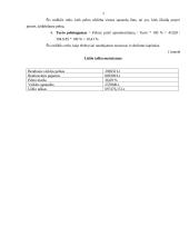 Verslo planas: vestuvinių ir proginių suknelių siuvimas UAB "Pelenė" 4 puslapis