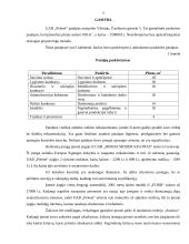 Verslo planas: vestuvinių ir proginių suknelių siuvimas UAB "Pelenė" 9 puslapis