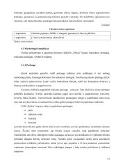 Verslo planas: viešbutis UAB "Poilsis" 13 puslapis