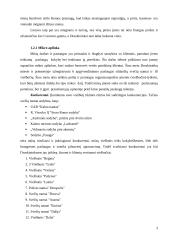 Verslo planas: viešbutis UAB "Poilsis" 3 puslapis