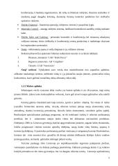 Verslo planas: viešbutis UAB "Poilsis" 5 puslapis