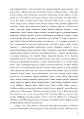 Verslo planas: viešbutis UAB "Poilsis" 6 puslapis