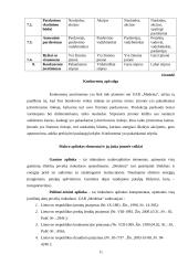 Verslo planas: virtuviniai baldai UAB "Medeina" 11 puslapis