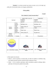 Verslo planas: virtuviniai baldai UAB "Medeina" 13 puslapis