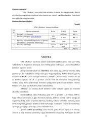 Verslo planas: virtuviniai baldai UAB "Medeina" 15 puslapis
