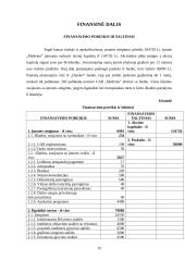 Verslo planas: virtuviniai baldai UAB "Medeina" 19 puslapis