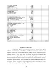 Verslo planas: virtuviniai baldai UAB "Medeina" 20 puslapis