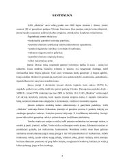 Verslo planas: virtuviniai baldai UAB "Medeina" 4 puslapis