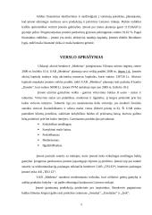 Verslo planas: virtuviniai baldai UAB "Medeina" 5 puslapis