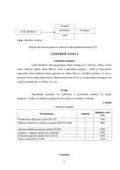 Verslo planas: virtuviniai baldai UAB "Medeina" 6 puslapis