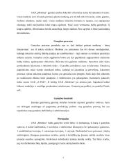 Verslo planas: virtuviniai baldai UAB "Medeina" 7 puslapis