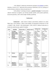 Verslo planas: virtuviniai baldai UAB "Medeina" 10 puslapis