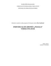 Verslo planas: žirgynas IĮ "Pasaga" 1 puslapis