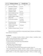 Verslo planas: žirgynas IĮ "Pasaga" 16 puslapis
