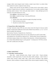 Verslo planas: žirgynas IĮ "Pasaga" 4 puslapis
