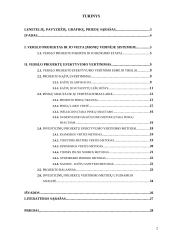 Verslo projekto efektyvumo vertinimas 2 puslapis