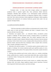 Verslo projekto efektyvumo vertinimas 11 puslapis