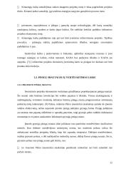 Verslo projekto efektyvumo vertinimas 12 puslapis