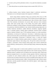 Verslo projekto efektyvumo vertinimas 13 puslapis