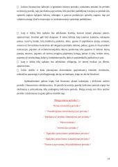 Verslo projekto efektyvumo vertinimas 14 puslapis