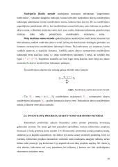 Verslo projekto efektyvumo vertinimas 18 puslapis