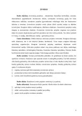 Verslo projekto efektyvumo vertinimas 4 puslapis