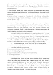 Verslo projekto efektyvumo vertinimas 6 puslapis