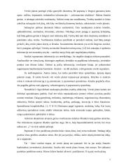 Verslo projekto efektyvumo vertinimas 7 puslapis