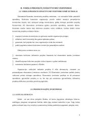 Verslo projekto efektyvumo vertinimas 9 puslapis
